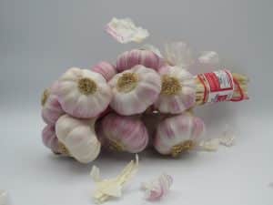Ail Rose de Lautrec - Ail Rose