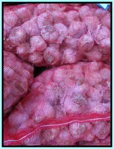 Ail Rose de Lautrec - Ail Rose – Image 8