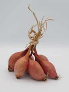 Echalote 250g – Image 2
