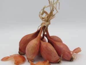 Echalote 1kg