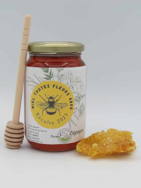 Miel toutes fleurs 480gr